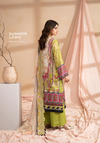 Gulljee RAYA ( DP-01-6542 ) CATALOUGE-2 ART-05