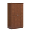 CUPBOARD/ALMIRAH-EVELYN CBH-387-3-1-20 ( 2 Door)