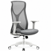 Ergonomic Swivel Chair-B62 (Grey) CES-B62-7-1-44