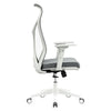 Ergonomic Swivel Chair-B62 (Grey) CES-B62-7-1-44