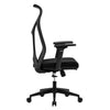 Ergonomic Swivel Chair-B62 (Black) CES-B62-7-1-66